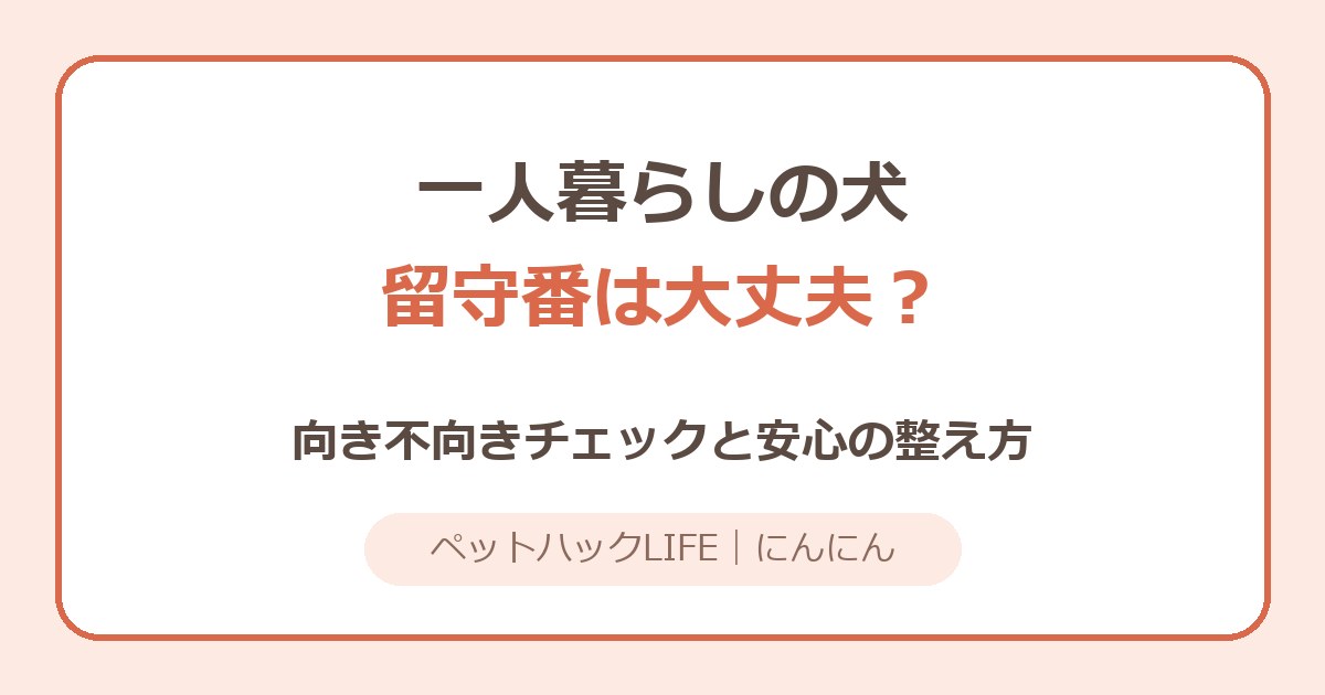 一人暮らしで犬の留守番は大丈夫？｜時間の目安と不安度チェック