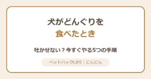 犬がどんぐりを食べた！大丈夫？今すぐやる5つの手順
