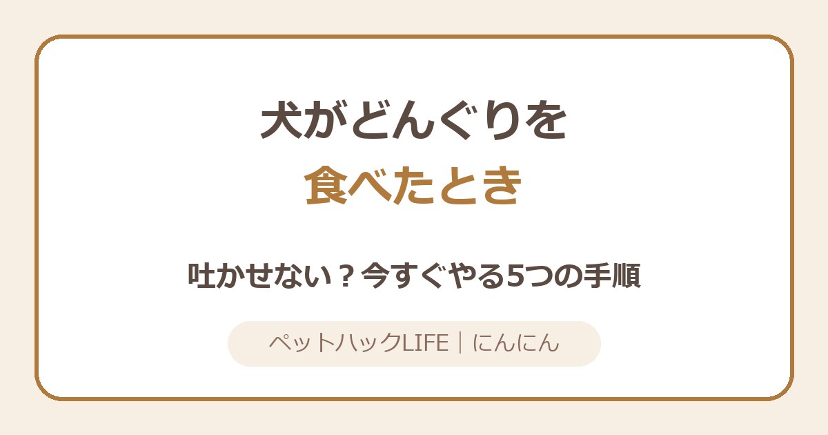 犬がどんぐりを食べた！大丈夫？今すぐやる5つの手順