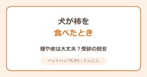 犬が柿を食べた！種や皮は大丈夫？受診の目安と4つの誤解