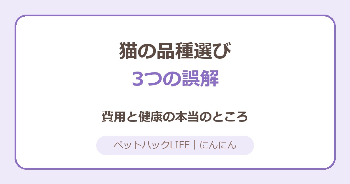 猫の品種選びの3つの誤解｜費用と健康の本当のところ