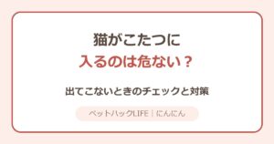 猫がこたつに入るのは危ない？出てこないときのチェックと対策