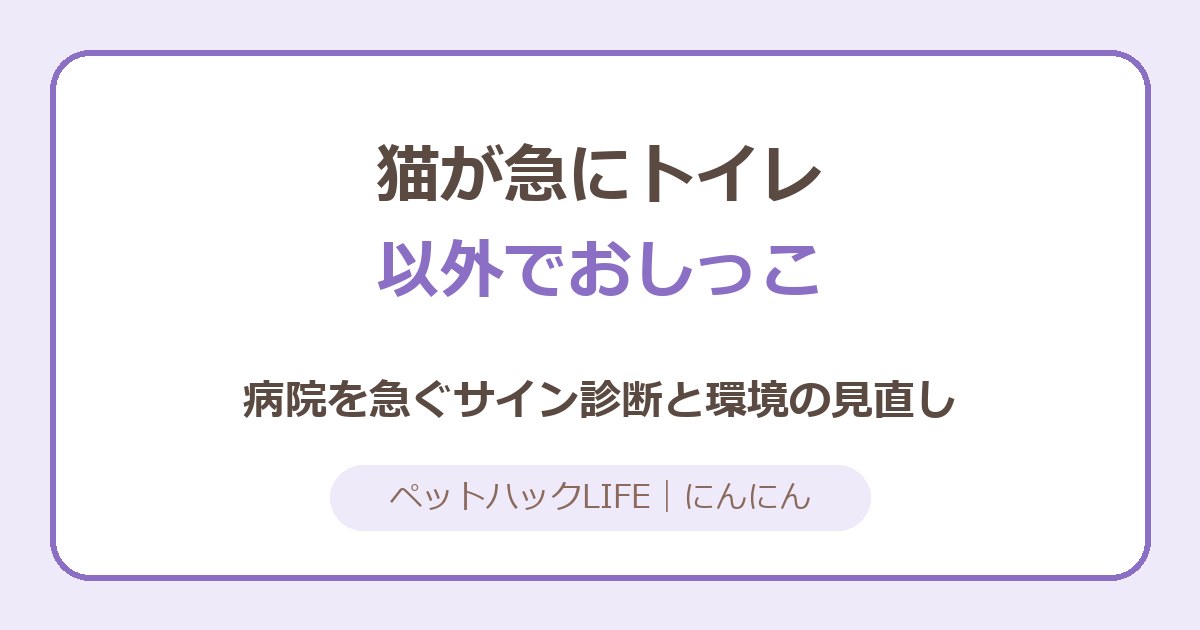 猫が急にトイレ以外でおしっこする原因