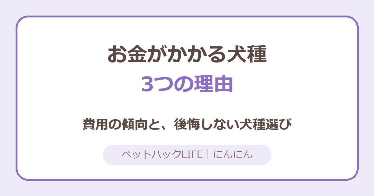 お金がかかりやすい犬種とは？飼育費の傾向と理由