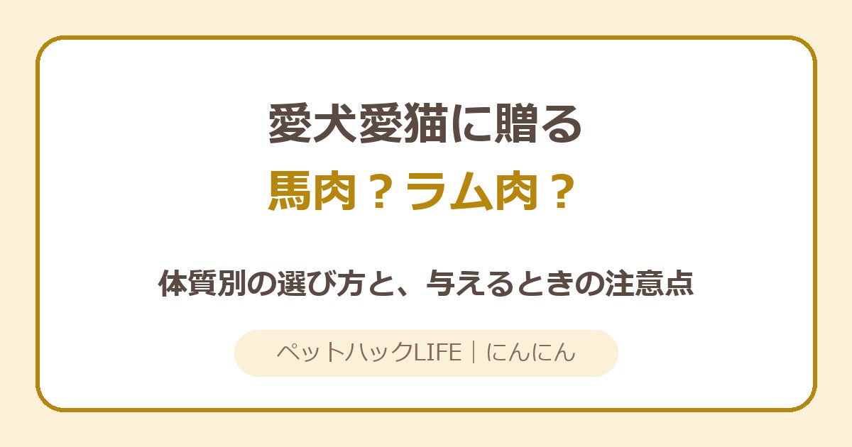愛犬愛猫に馬肉とラム肉、どっちがいい？選び方